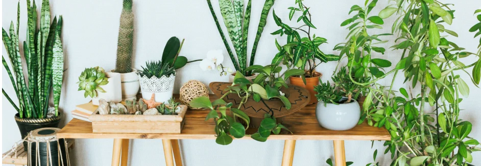 Grundgerüst eines Gartenhauses aus Holz